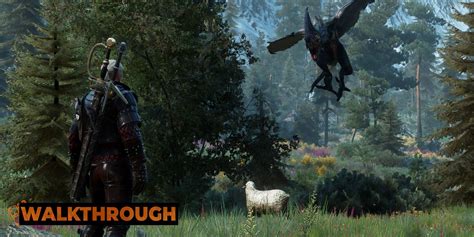 dragons in witcher 3|Contract: Dragon Walkthrough .